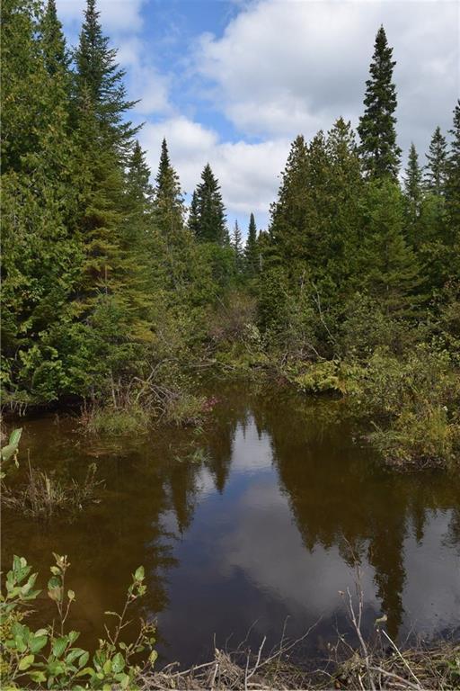 R11-l36 Shin Pond Road Patten, ME 04765 - Photo 20 of 30 Another area of the brook...there is...