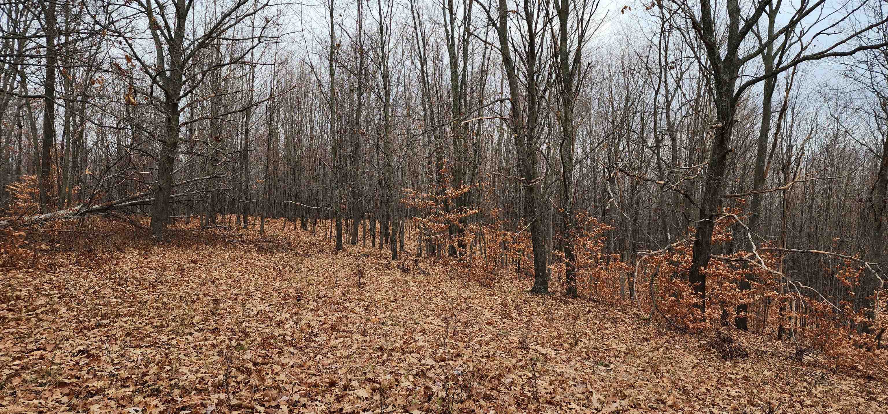 8.59 West Phelps Road Manton, MI 49663 - Photo 26 of 26 1906535-25.JPG