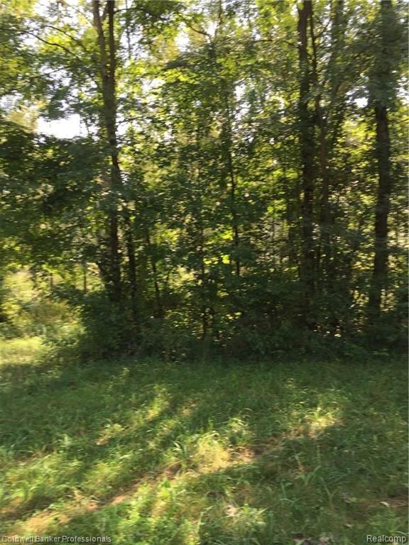 0 Chapinenglehart Road Deford, MI 48729 - Photo 7 of 15