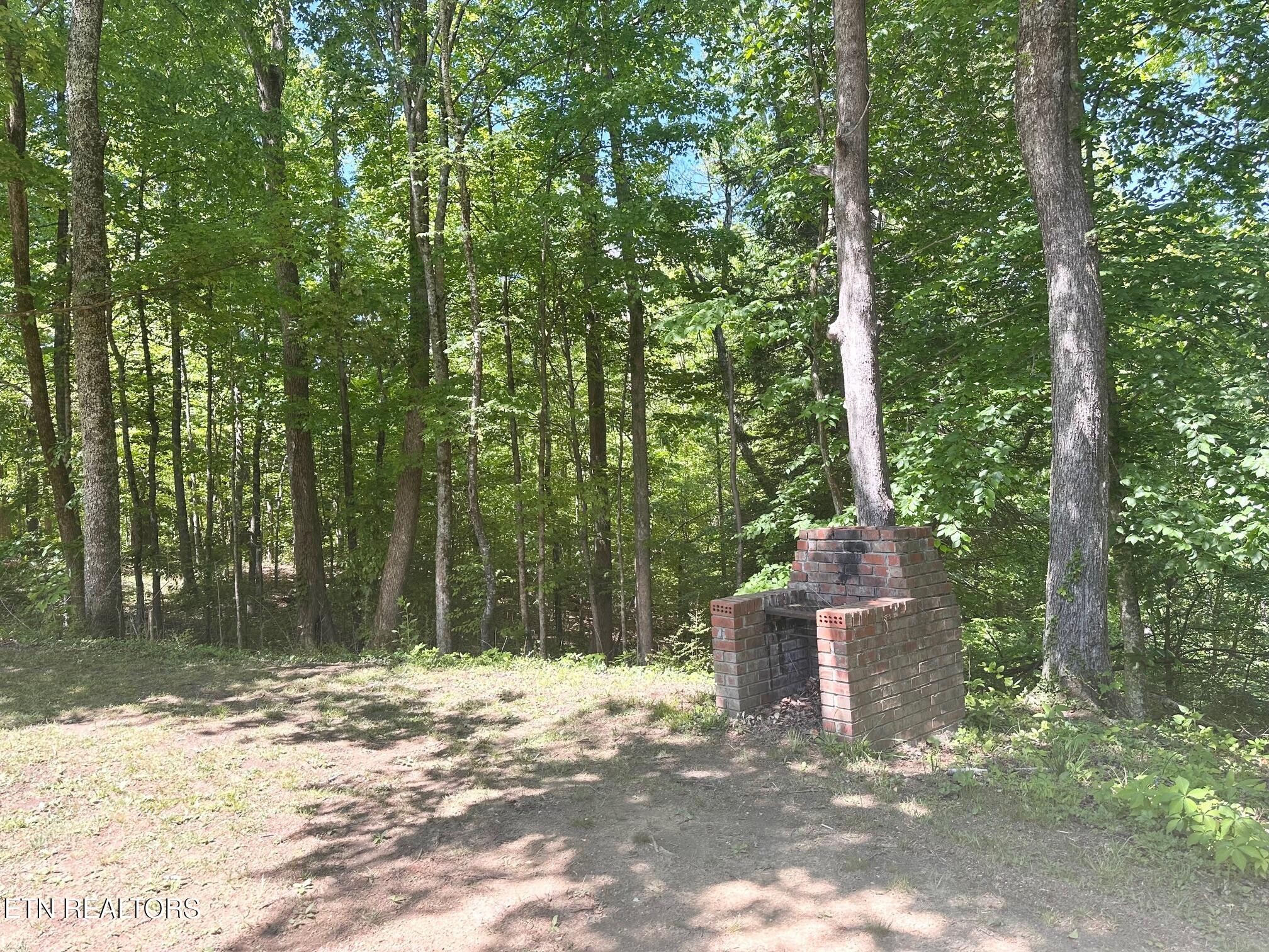 320 Reed Place Monterey, TN 38574 - Photo 25 of 33 Gallery Image 25