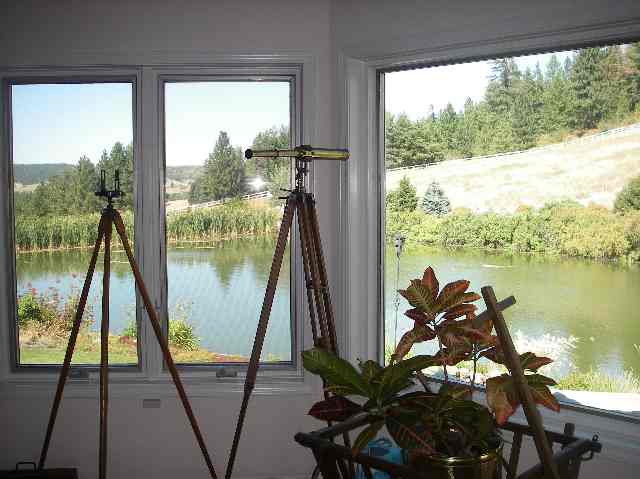 19226 North Bernhill Road Colbert, WA 99005 - Photo 8 of 9