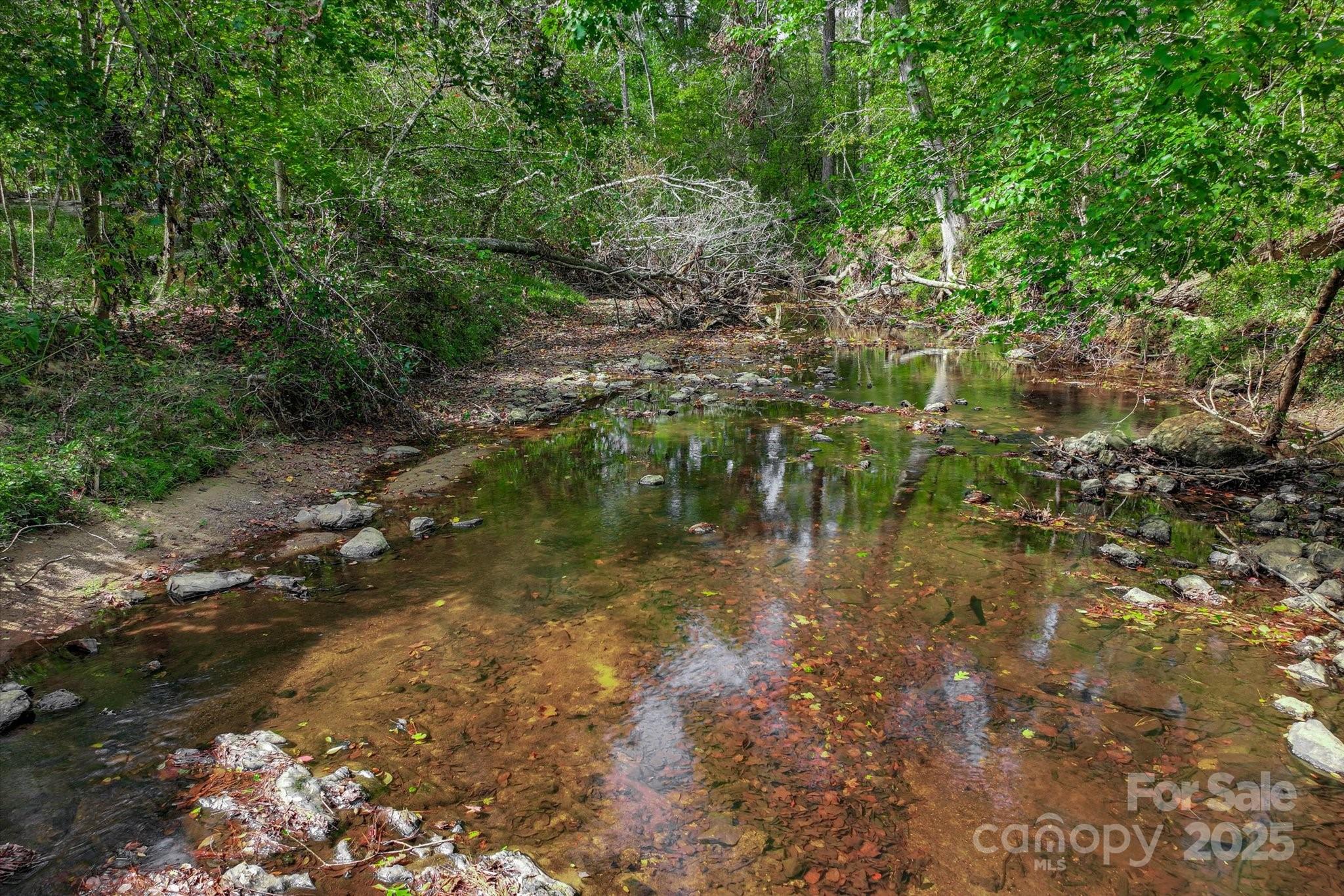 621 Meeting Street Road Edgefield, SC 29824 - Photo 2 of 40