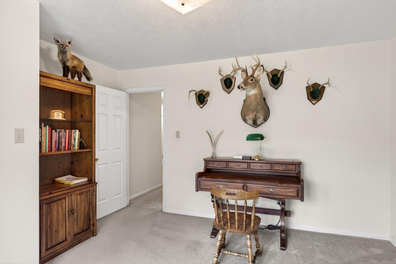 2220 Pine Woods Road Quicksburg, VA 22847 - Photo 72 of 75