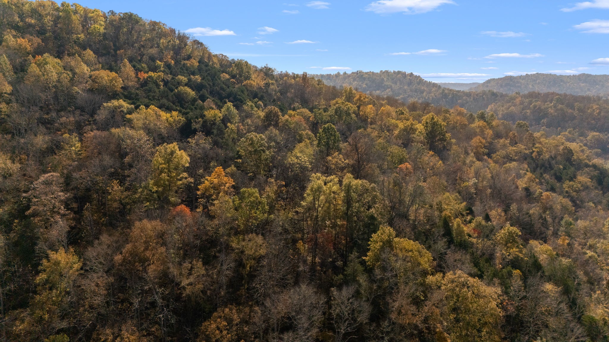 2 Burt Burgen Road Woodbury, TN 37190 - Photo 12 of 17