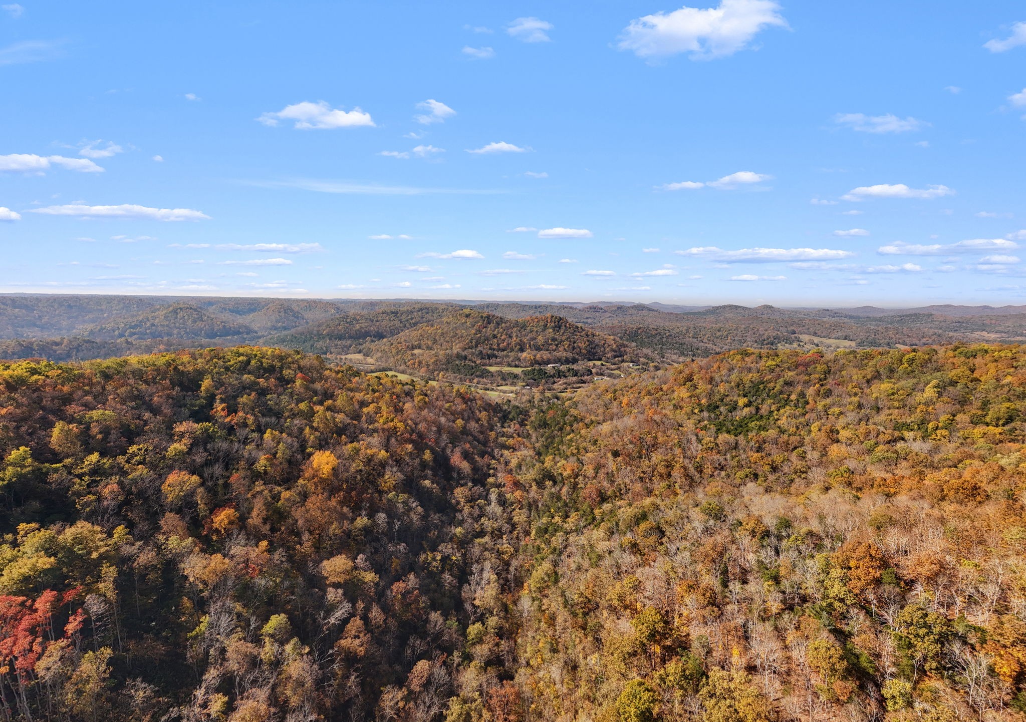 2 Burt Burgen Road Woodbury, TN 37190 - Photo 16 of 17