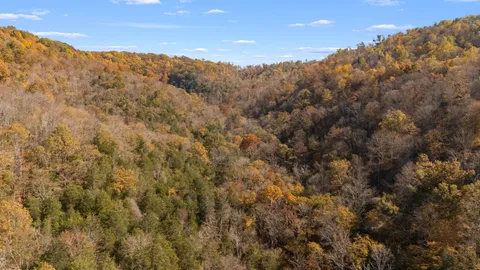 a view of a mountain range with trees in the background