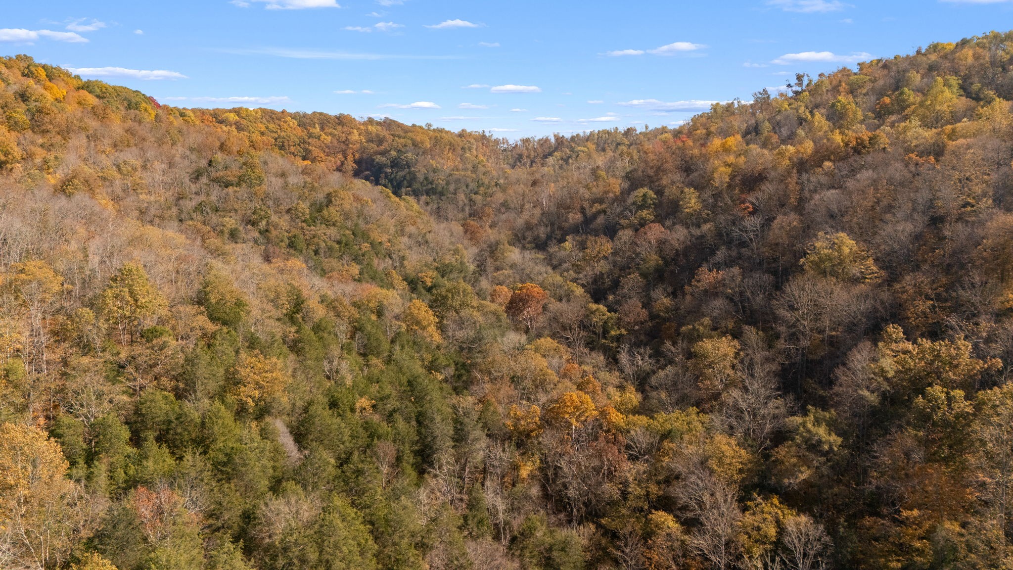 2 Burt Burgen Road Woodbury, TN 37190 - Photo 3 of 17