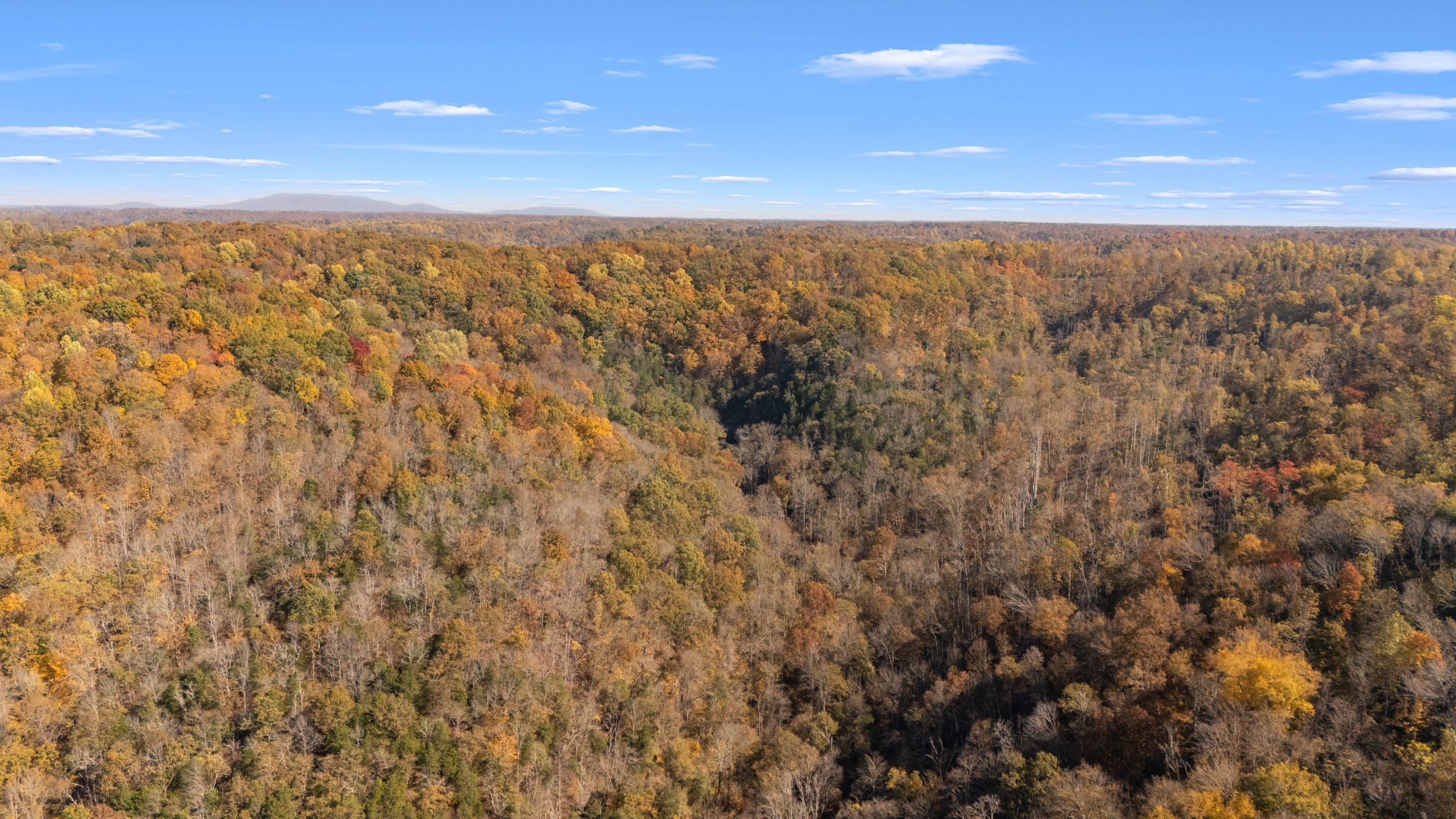 2 Burt Burgen Road Woodbury, TN 37190 - Photo 4 of 17