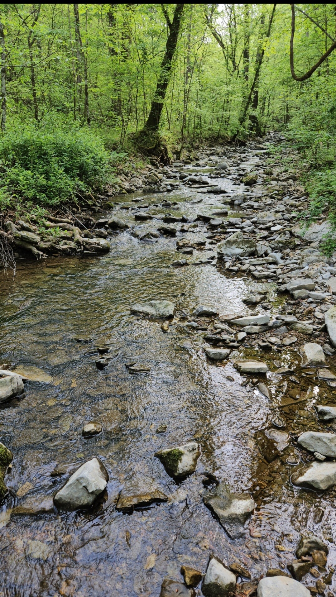 2 Burt Burgen Road Woodbury, TN 37190 - Photo 5 of 17