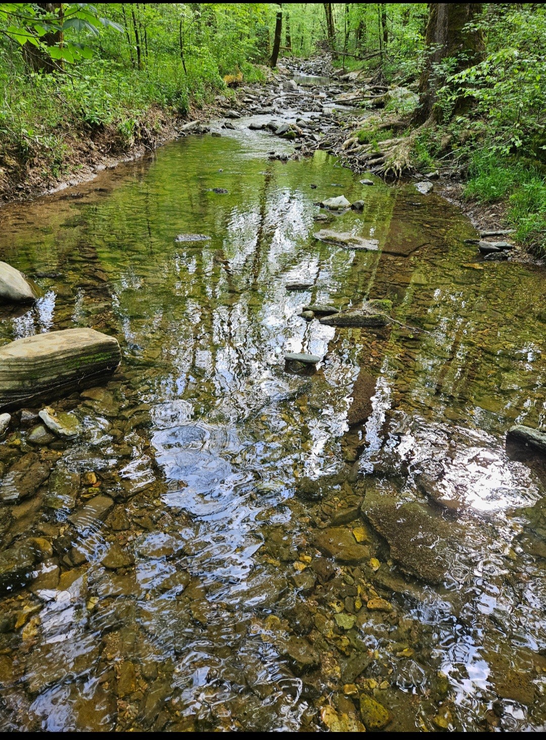 2 Burt Burgen Road Woodbury, TN 37190 - Photo 6 of 17