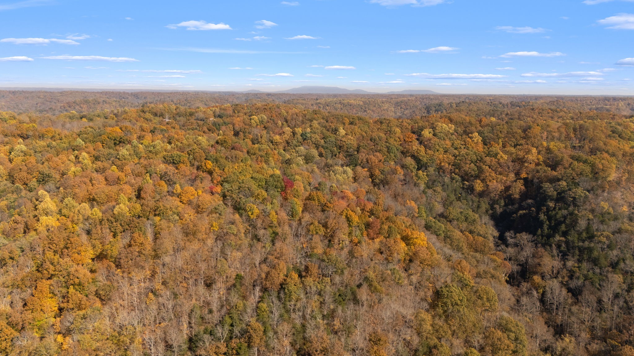 2 Burt Burgen Road Woodbury, TN 37190 - Photo 7 of 17