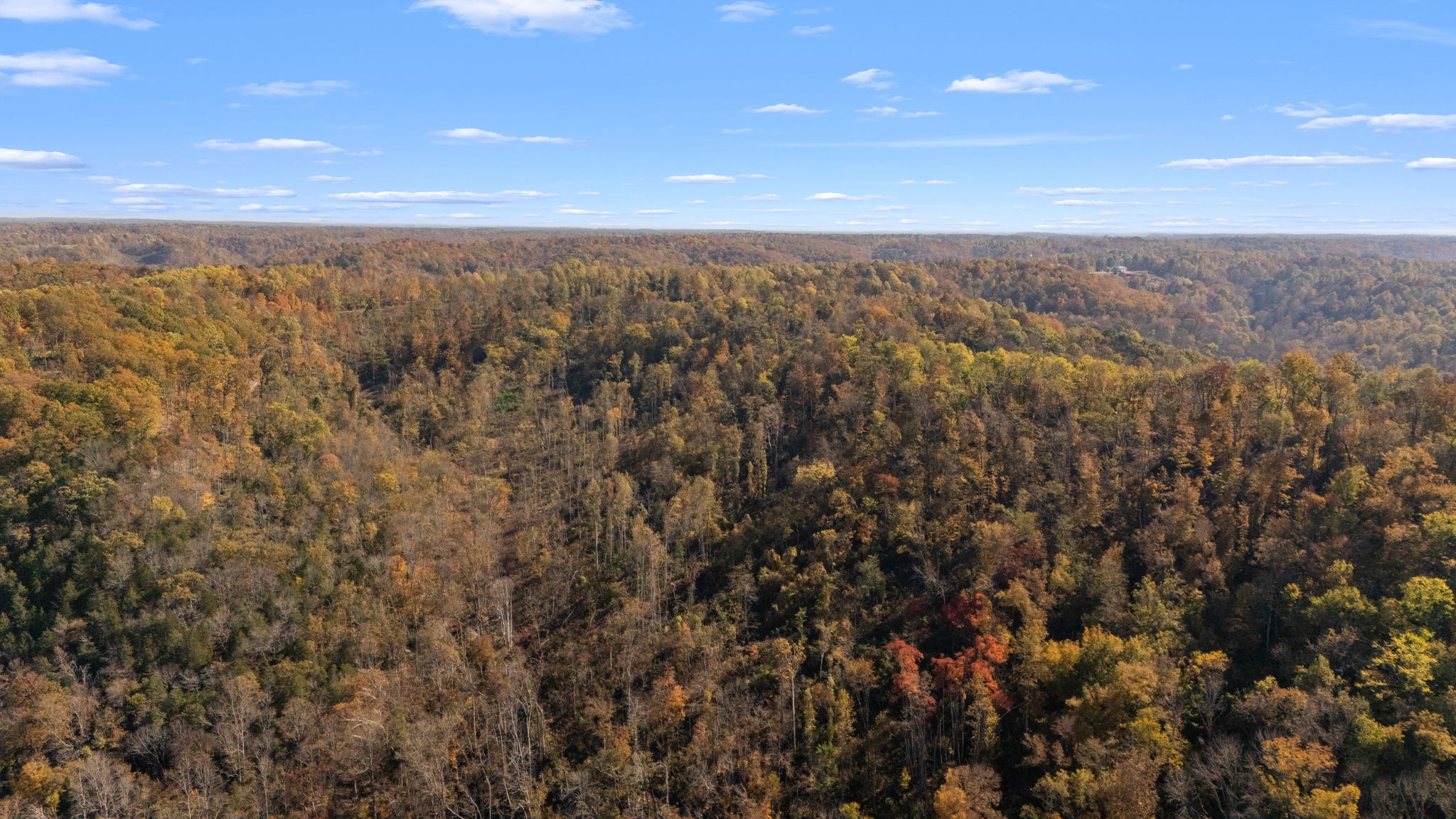 2 Burt Burgen Road Woodbury, TN 37190 - Photo 8 of 17