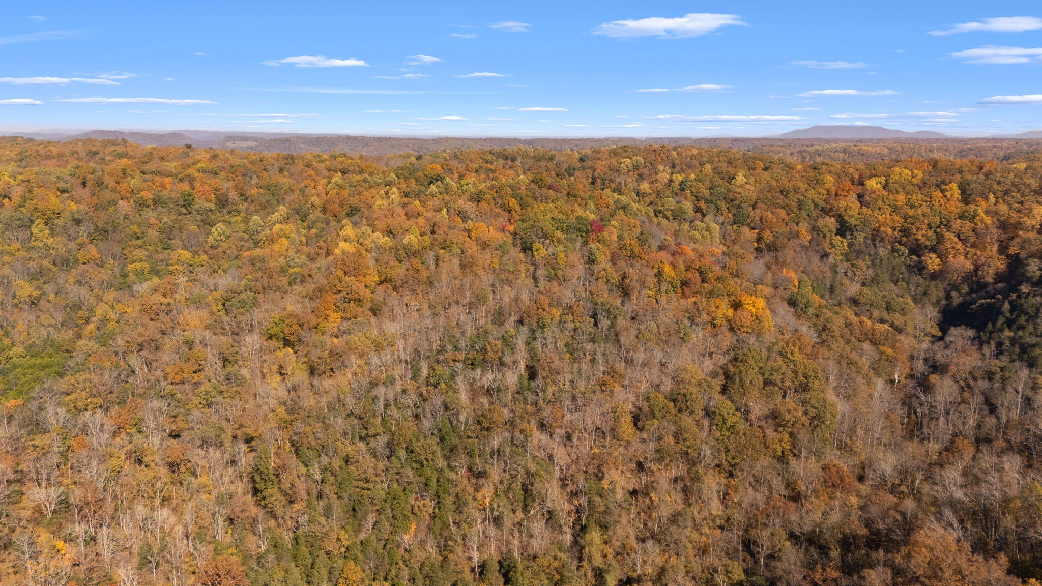 2 Burt Burgen Road Woodbury, TN 37190 - Photo 9 of 17