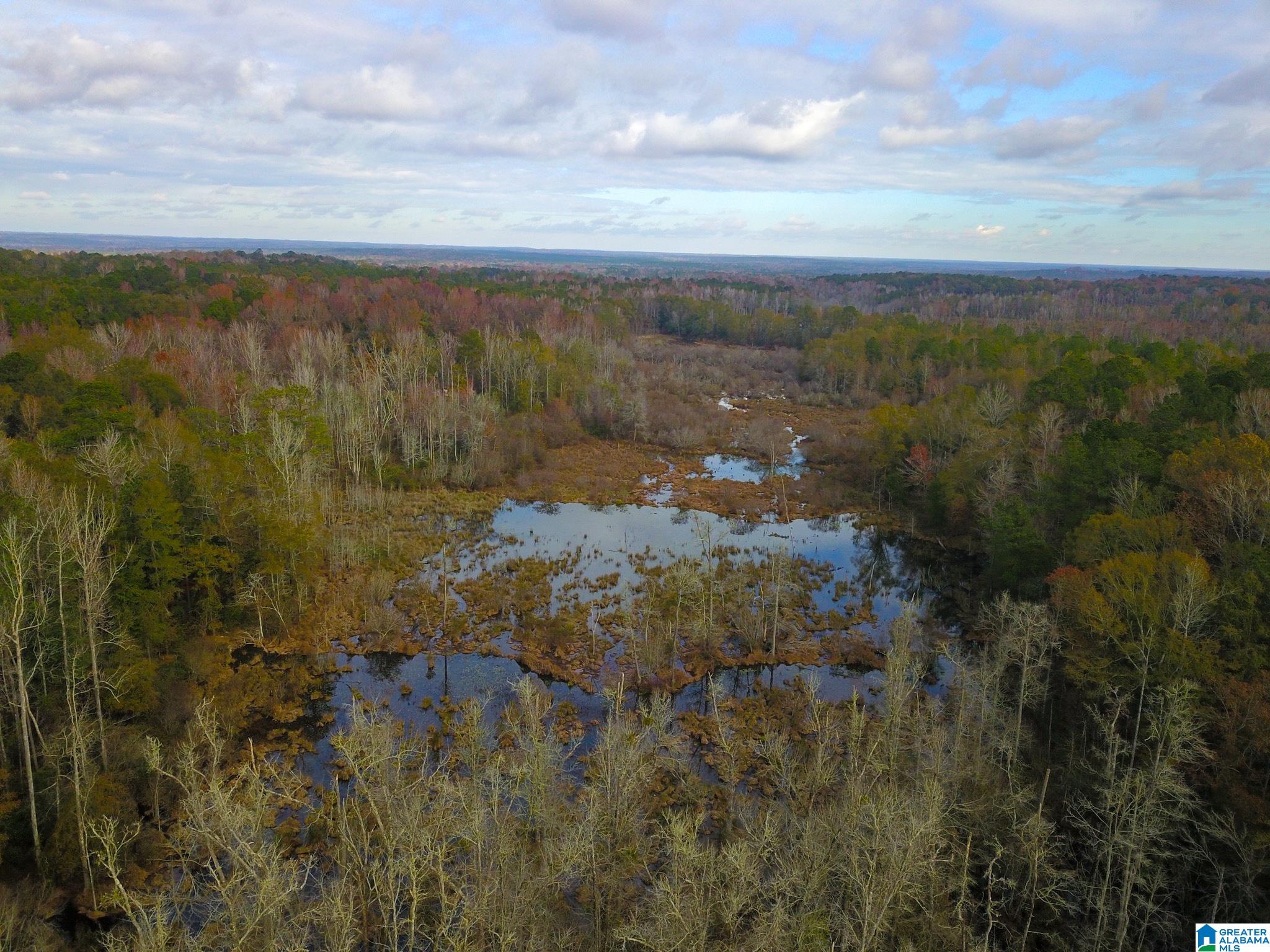 0 Midway Road Tuskegee, AL 36083 - Photo 23 of 30
