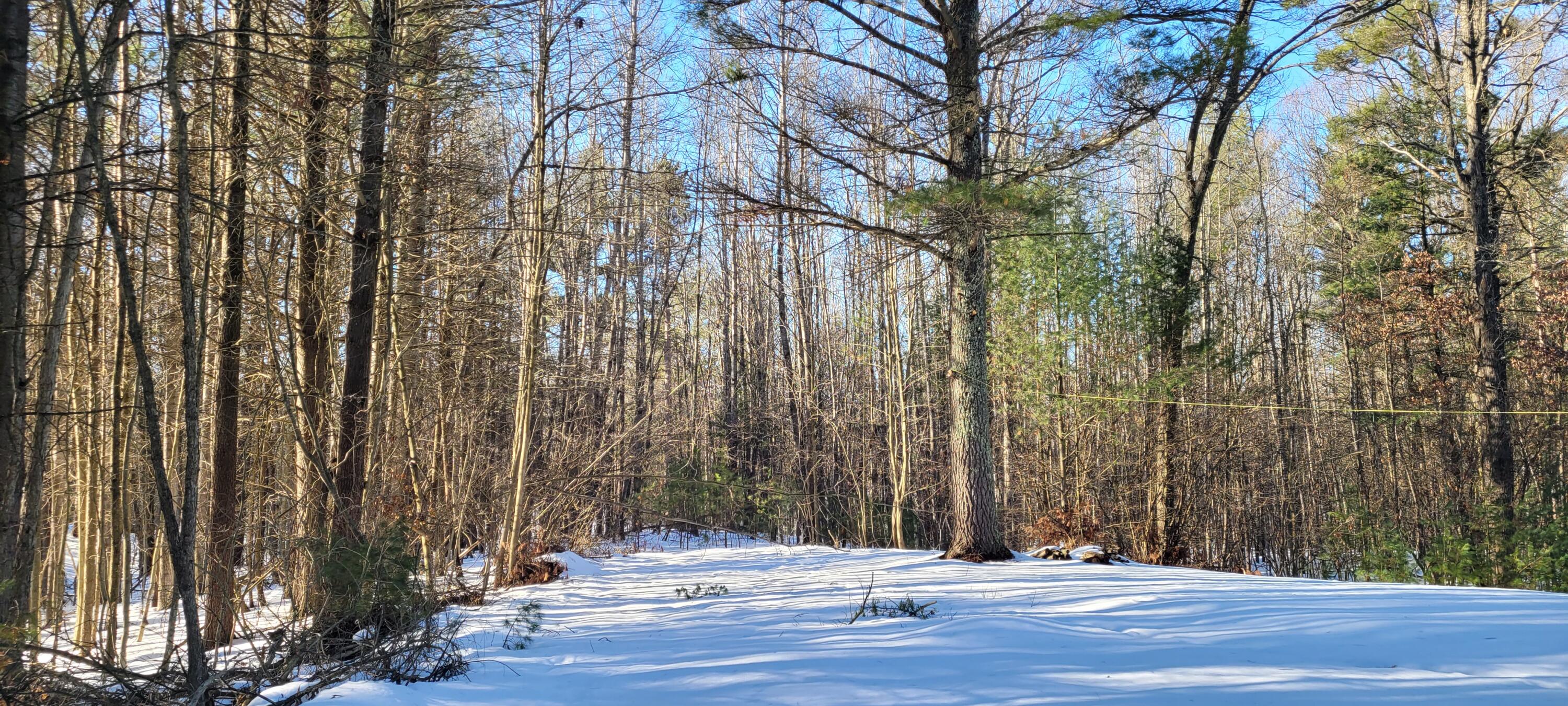 V/l Wayne Road Pentwater, MI 49449 - Photo 5 of 16 20250225_160353