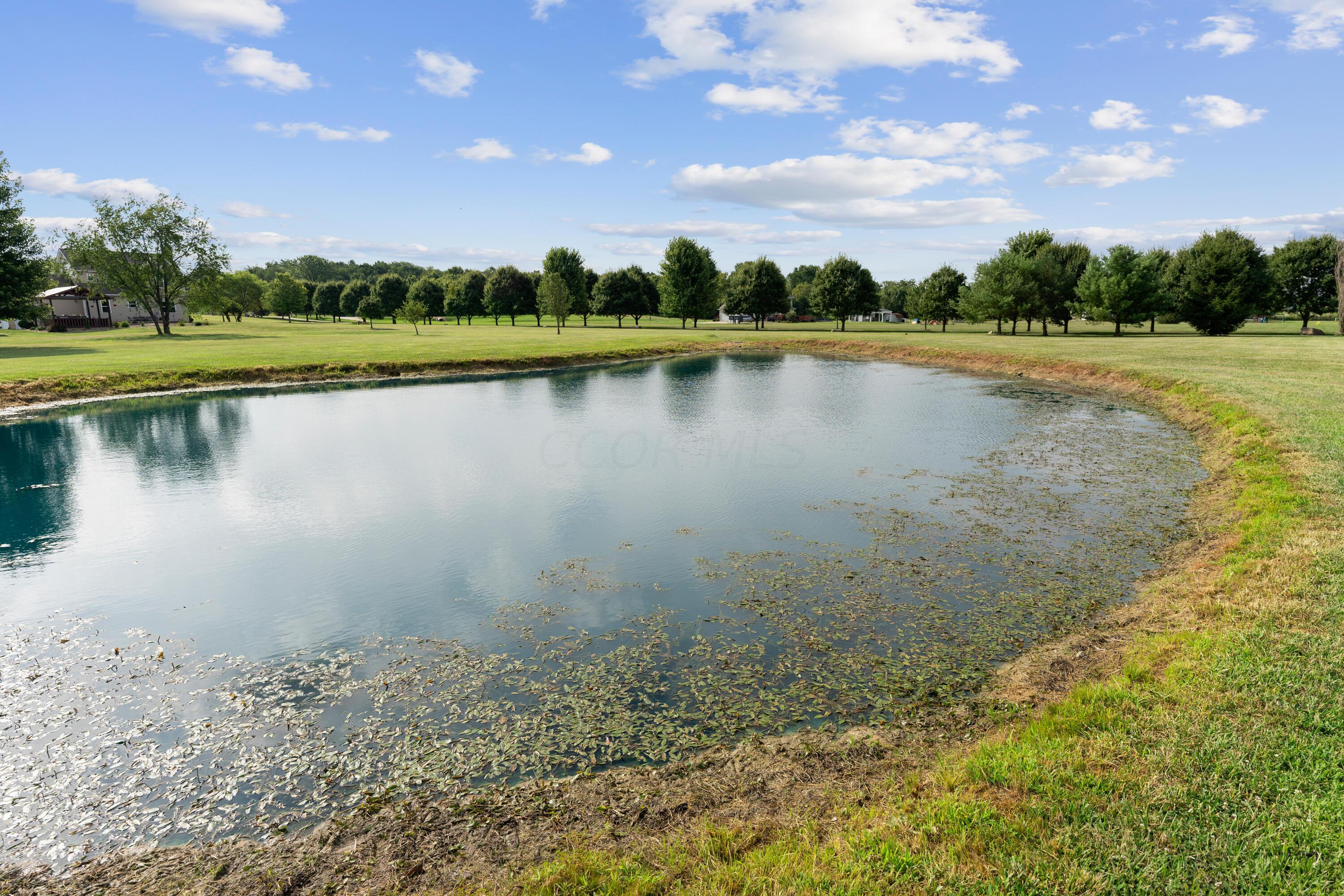 4677 State Rte 61 Sunbury, OH 43074 - Photo 94 of 104 Onsite Ponds
