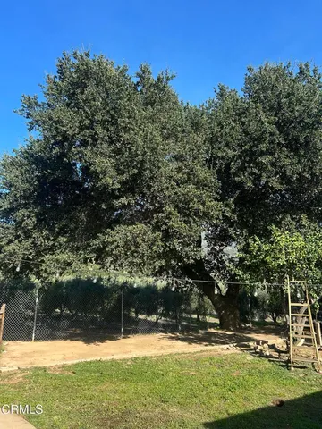 a view of swimming pool with a yard