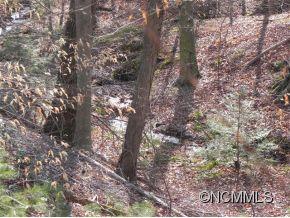 74 Rocking Porch Road Asheville, NC 28805 - Photo 14 of 16 Gallery Image 14