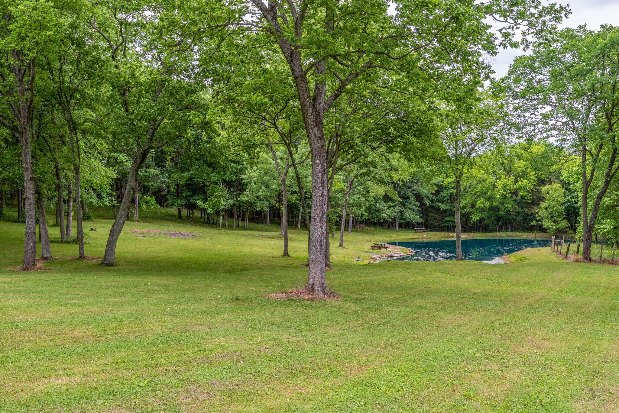 6016 Cane Ridge Road Antioch, TN 37013 - Photo 28 of 30 Gallery Image 28
