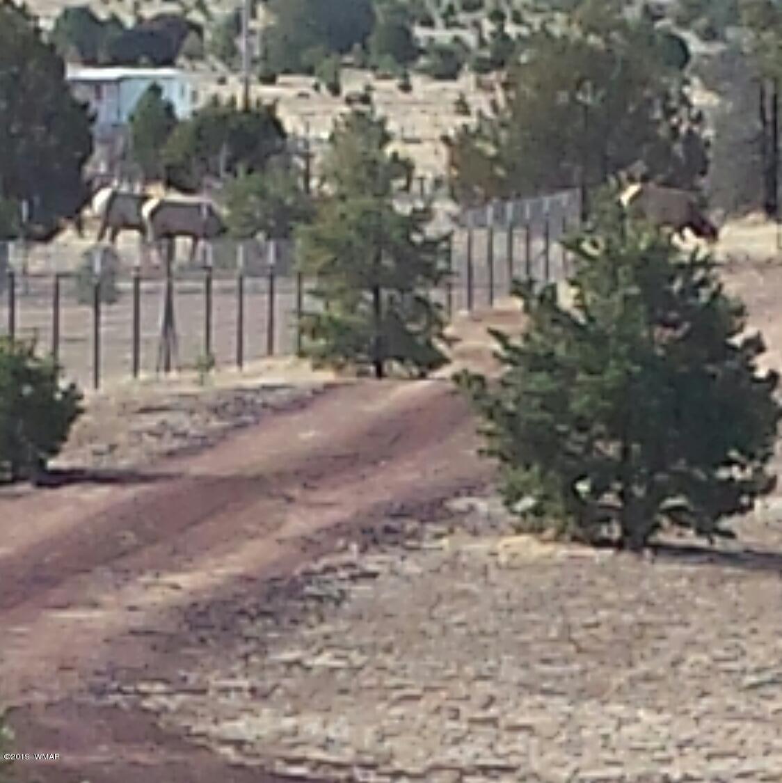 29 Logan Quemado, NM 87829 - Photo 2 of 11