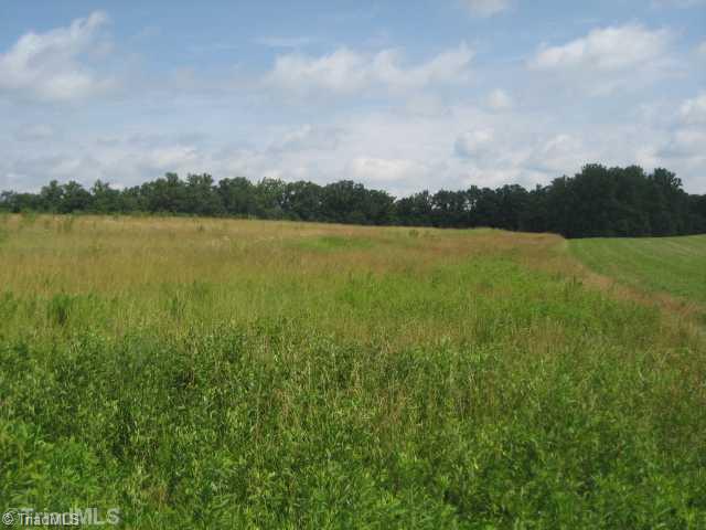 255 Bailey Road Advance, NC 27006 - Photo 8 of 8 Land.