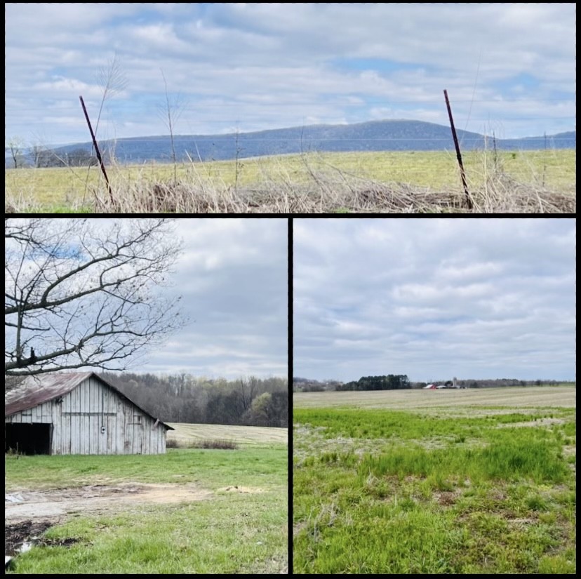 7289 Hillsboro Viola Road Morrison, TN 37357 - Photo 1 of 8 a view of ocean from a building