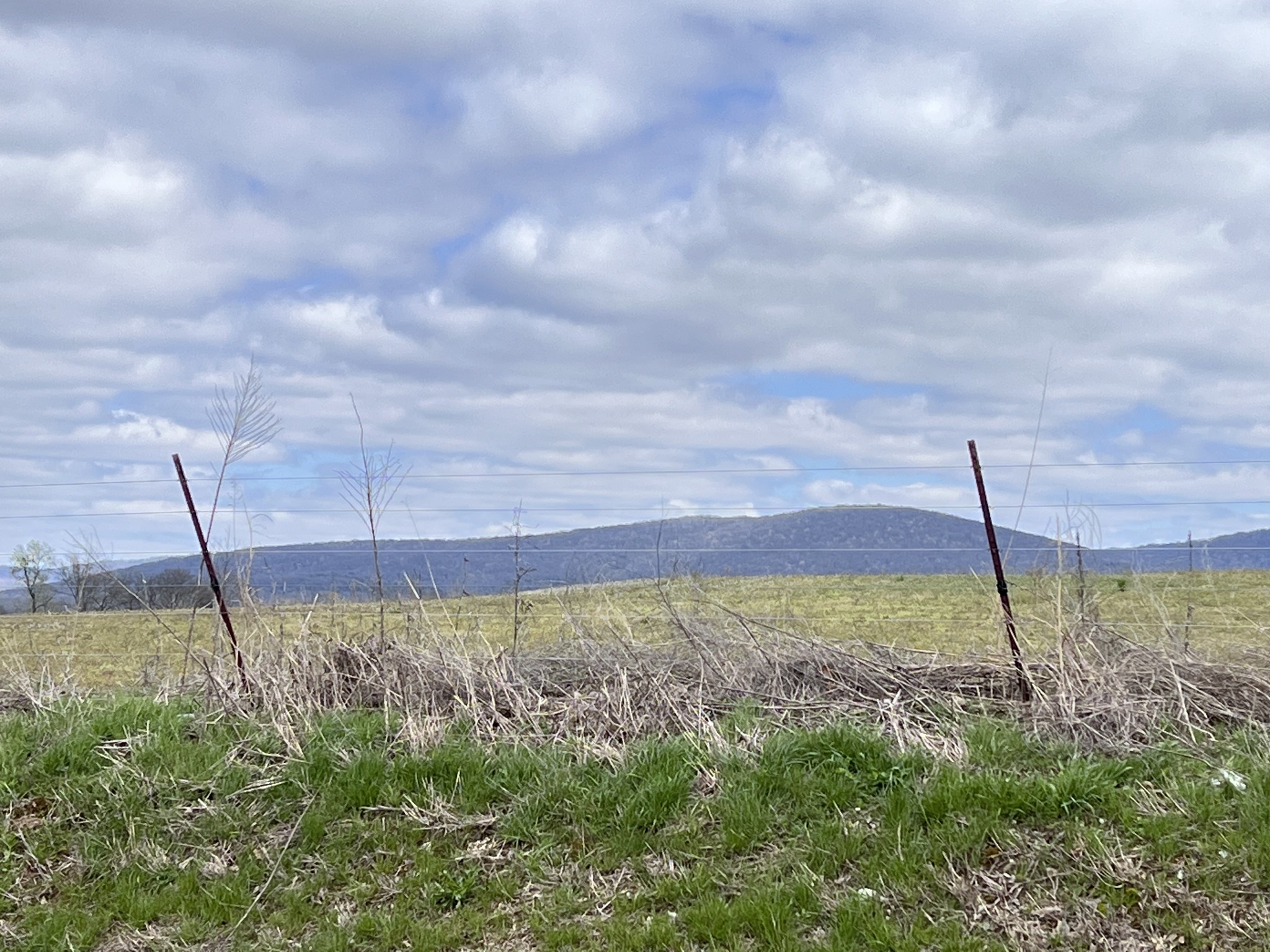 7289 Hillsboro Viola Road Morrison, TN 37357 - Photo 6 of 8 a view of a backyard