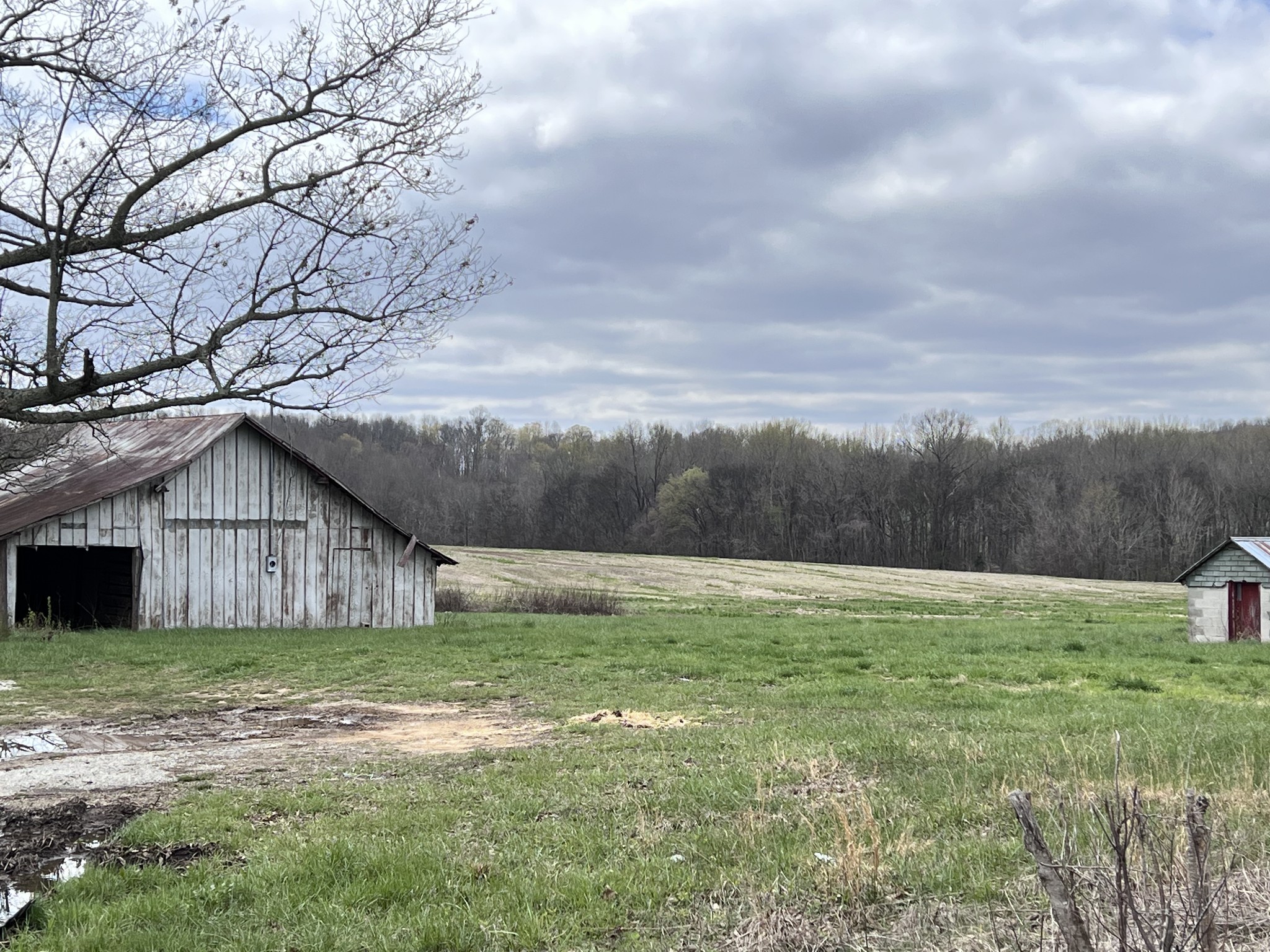 7289 Hillsboro Viola Road Morrison, TN 37357 - Photo 8 of 8 a view of a house with a yard