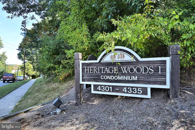 a view of a street sign under a large tree