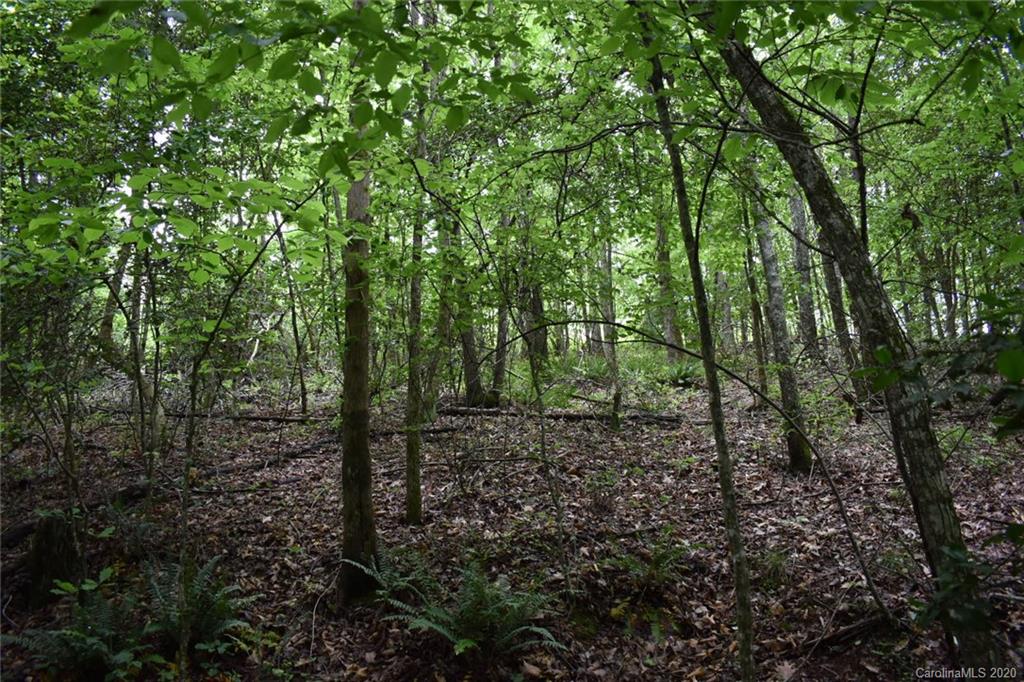 5111 Brooks Chapel Road Lawndale, NC 28090 - Photo 22 of 48 Gallery Image 22