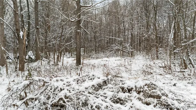 $28,000 | 1357 Highway 3, Lexington, IN 47138