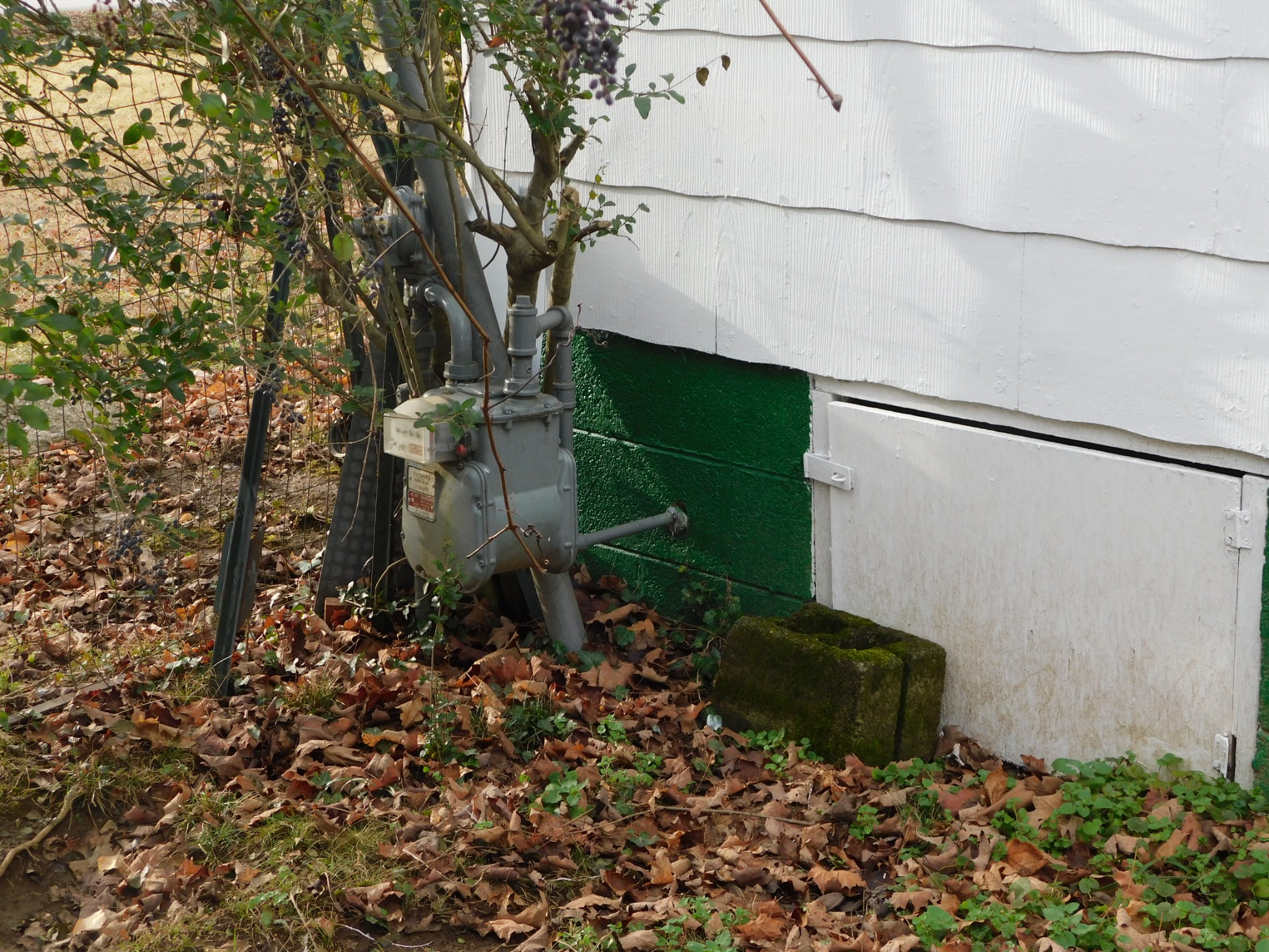 2801 Surrey Road Nashville, TN 37214 - Photo 30 of 43 a view of a back yard of the house and green space