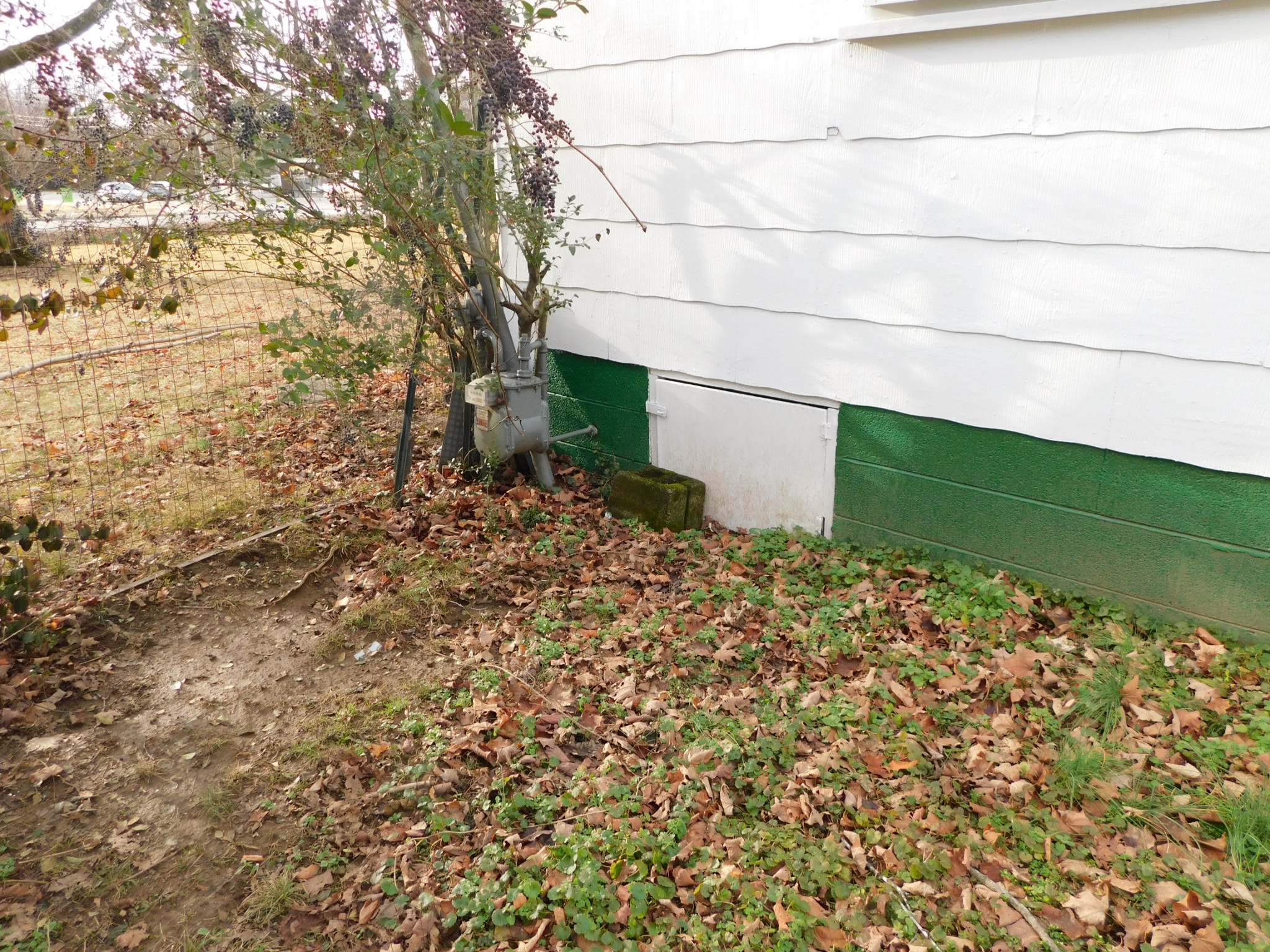2801 Surrey Road Nashville, TN 37214 - Photo 31 of 43 a view of a yard with plants and large trees