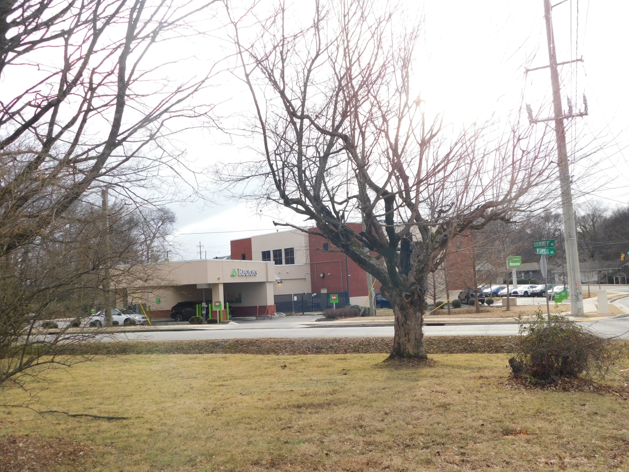 2801 Surrey Road Nashville, TN 37214 - Photo 42 of 43 a house that has a tree in front of it