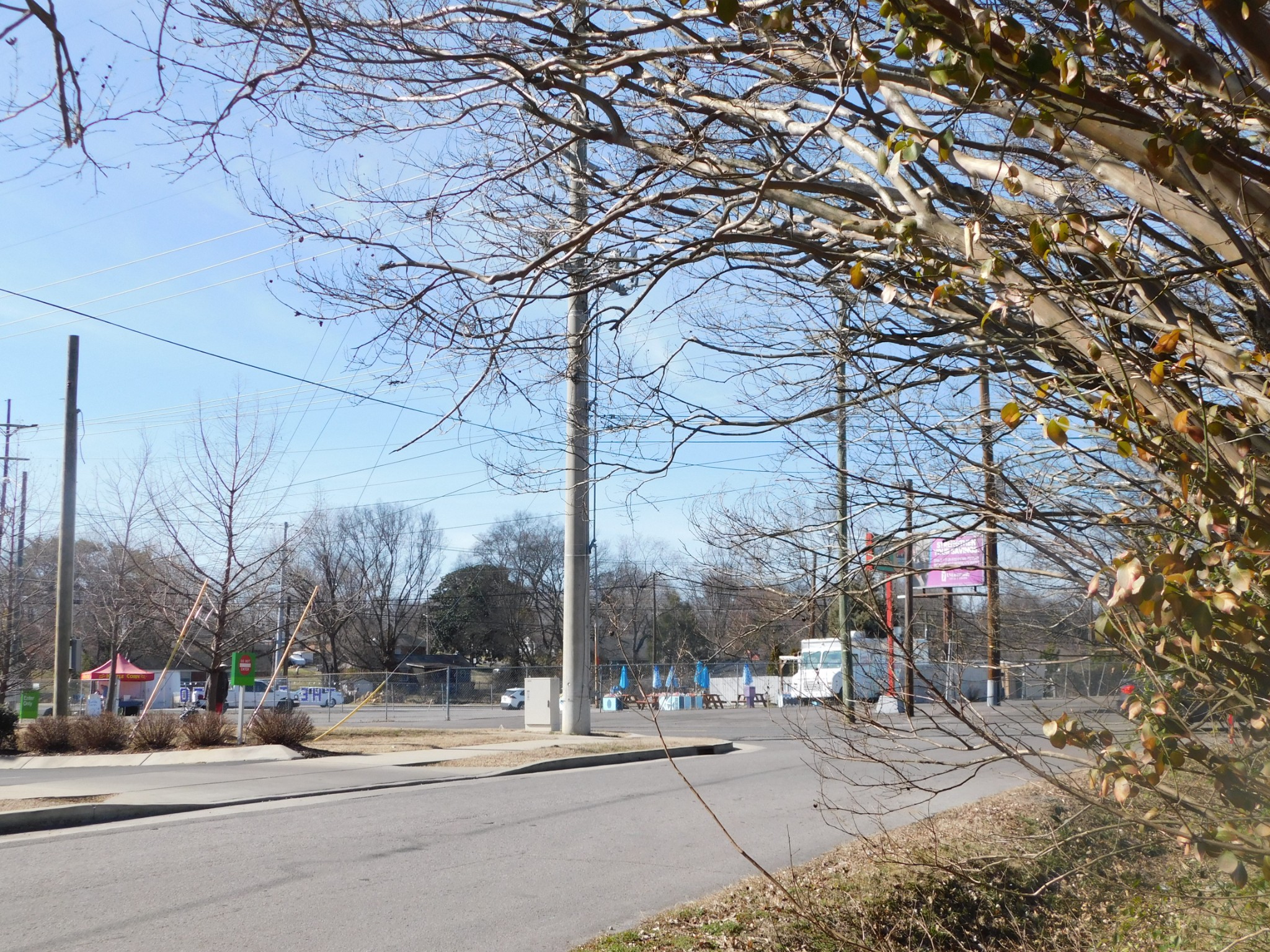 2801 Surrey Road Nashville, TN 37214 - Photo 43 of 43 a street view with large trees