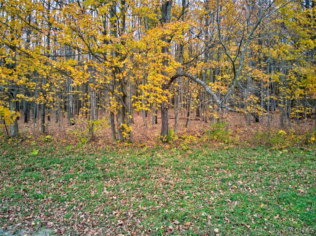 492-502 O'connor Road Scriba, NY 13126 - Photo 16 of 16