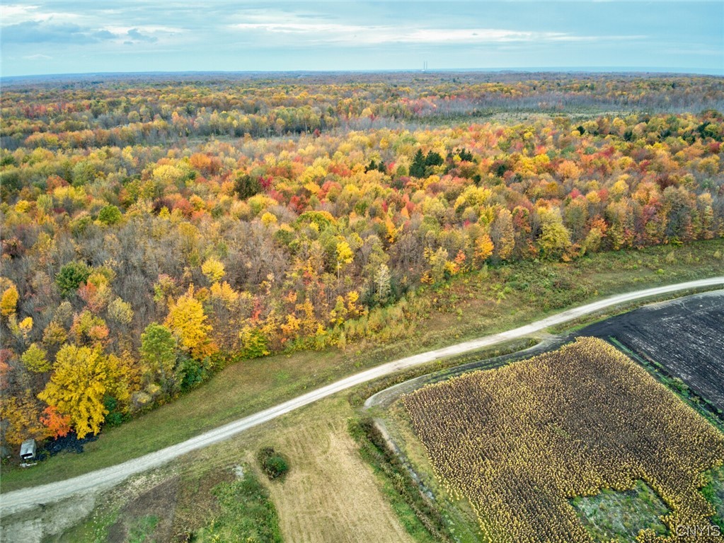 492-502 O'connor Road Scriba, NY 13126 - Photo 9 of 16