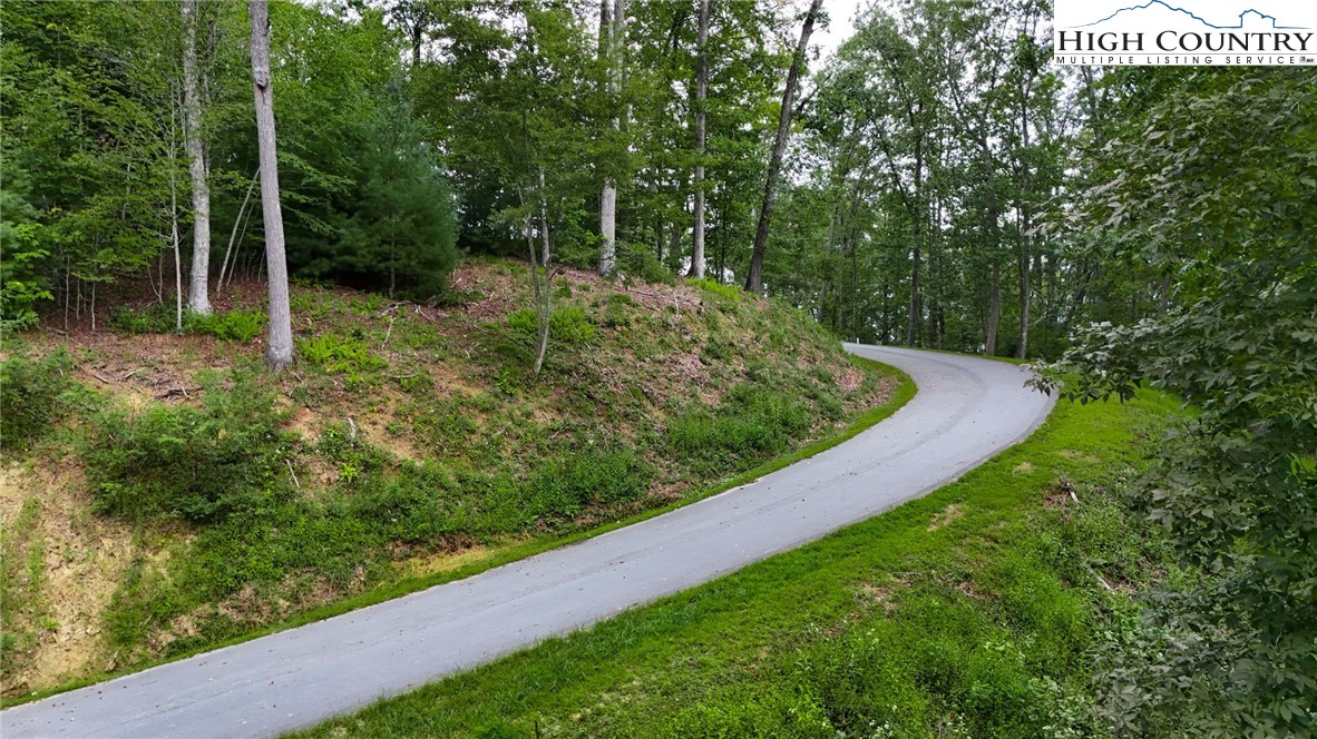 Lot T2 Coyote Trail Boone, NC 28607 - Photo 11 of 12