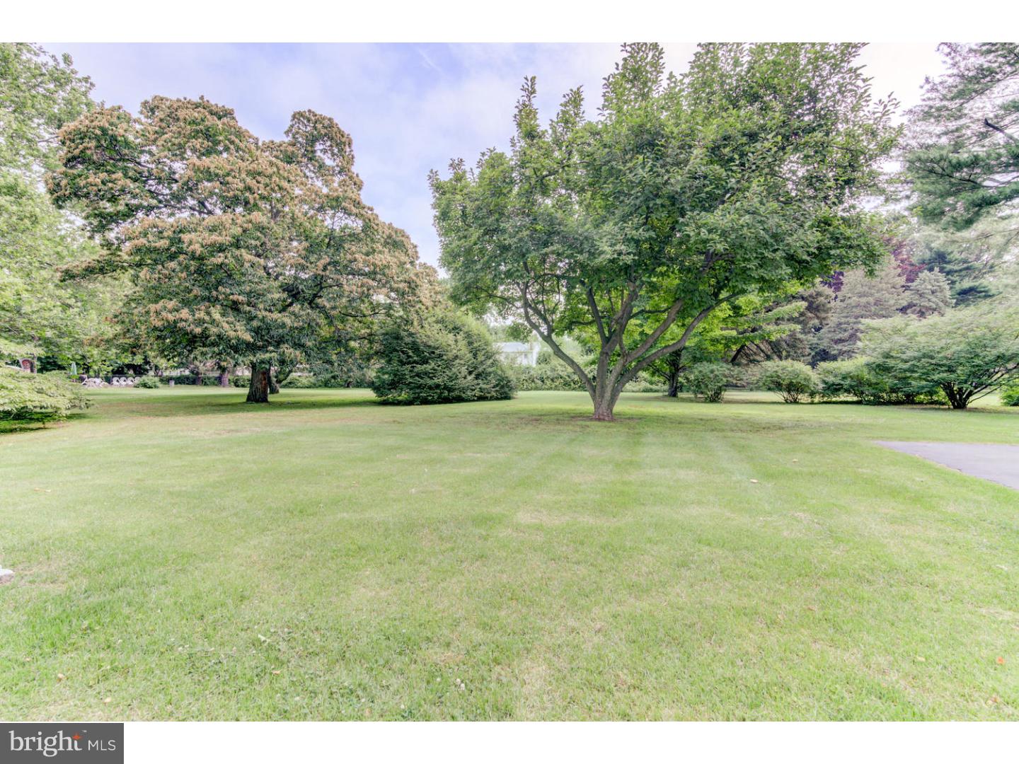 832 River Road Ewing, NJ 08628 - Photo 24 of 24 Back Yard