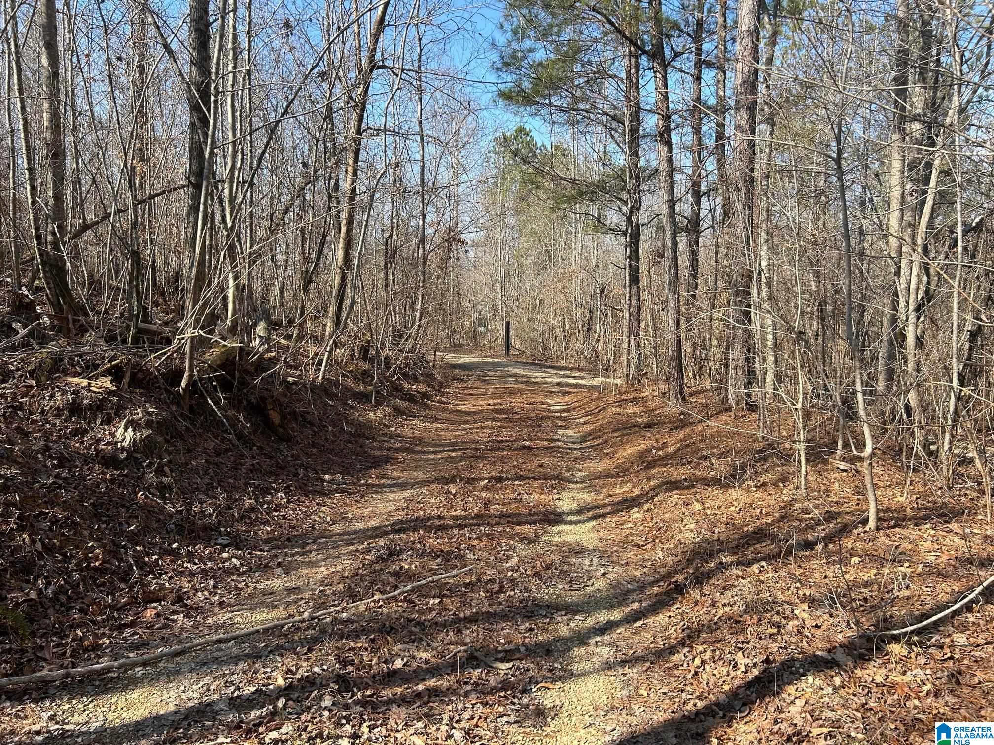 203 Pope Road Ohatchee, AL 36271 - Photo 21 of 31