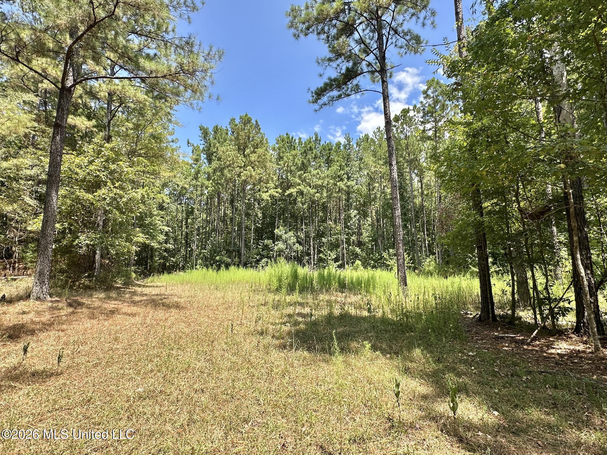 84 Highway 84 Roxie, MS 39661 - Photo 18 of 33 21