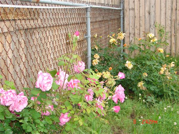 120 Clayton Street Springfield, MA 01107 - Photo 16 of 17 Gallery Image 16