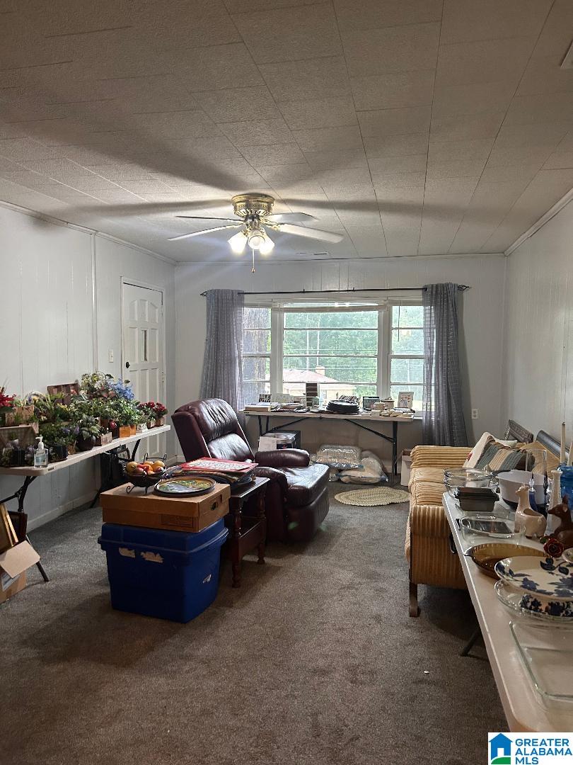 167 Odena Road South Sylacauga, AL 35150 - Photo 4 of 5