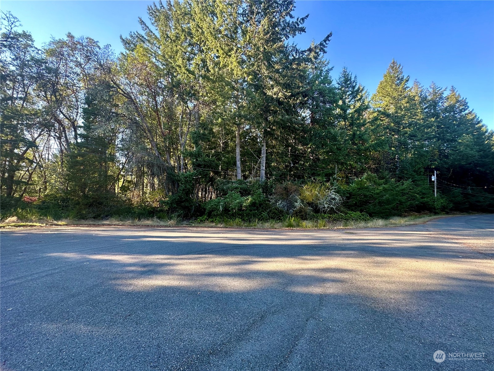 9102 Johnson Road Anderson Island, WA 98303 - Photo 5 of 9 a view of a tennis court
