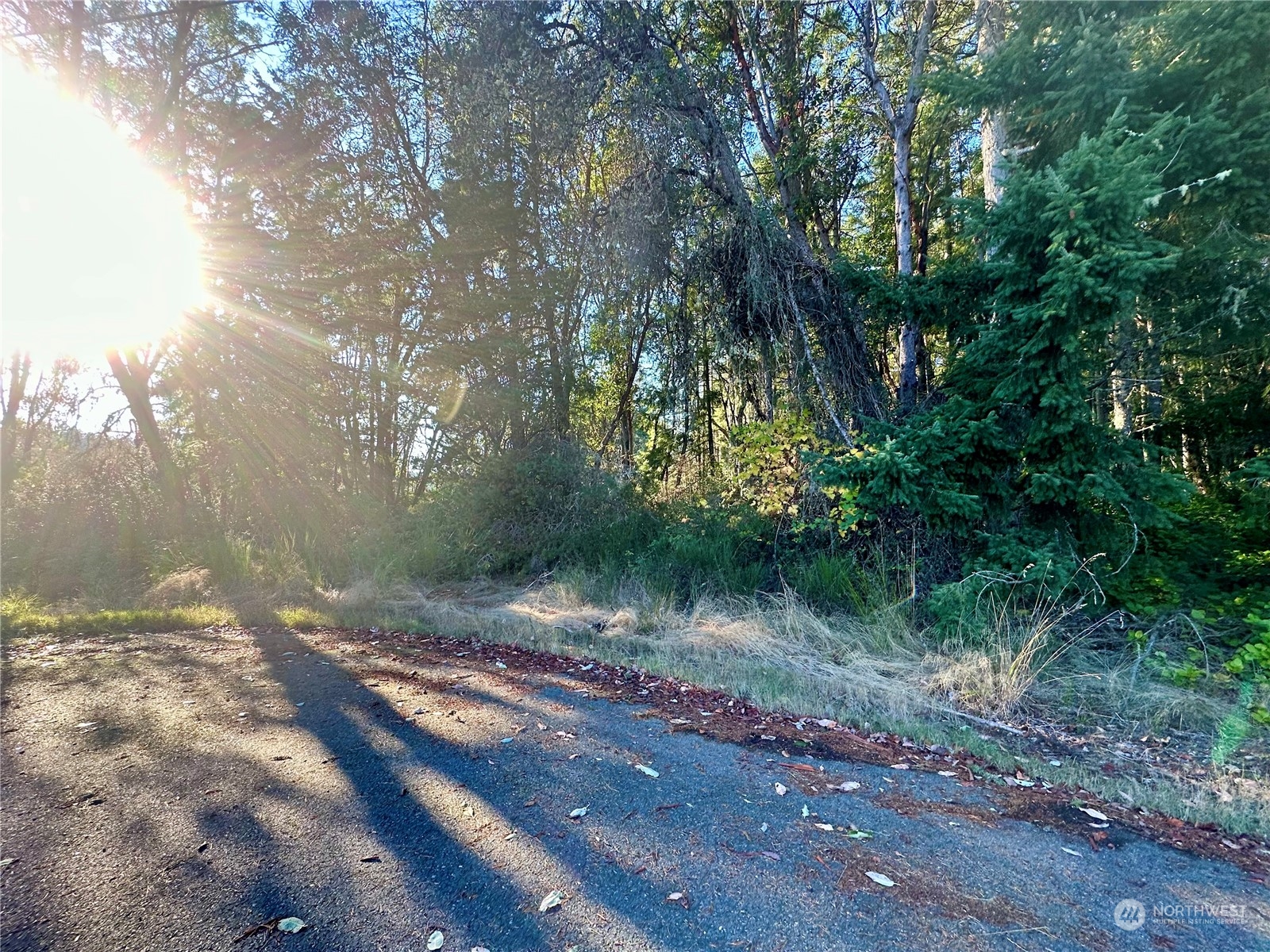 9102 Johnson Road Anderson Island, WA 98303 - Photo 6 of 9