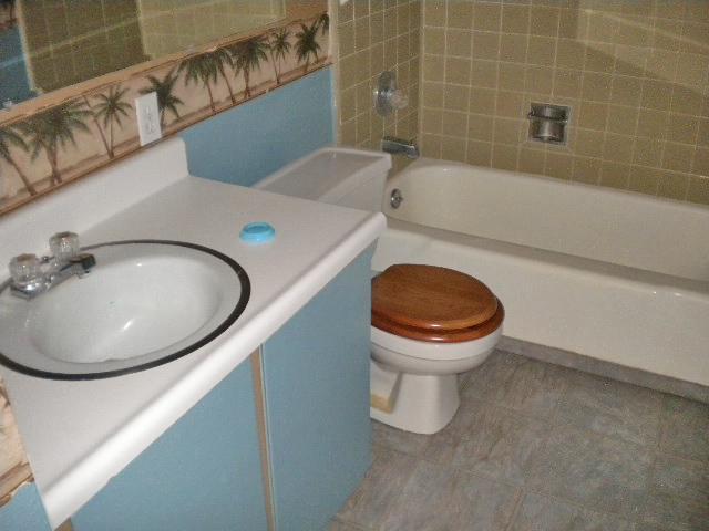 113 Ave J San Manuel, AZ 85631 - Photo 8 of 16 bathroom