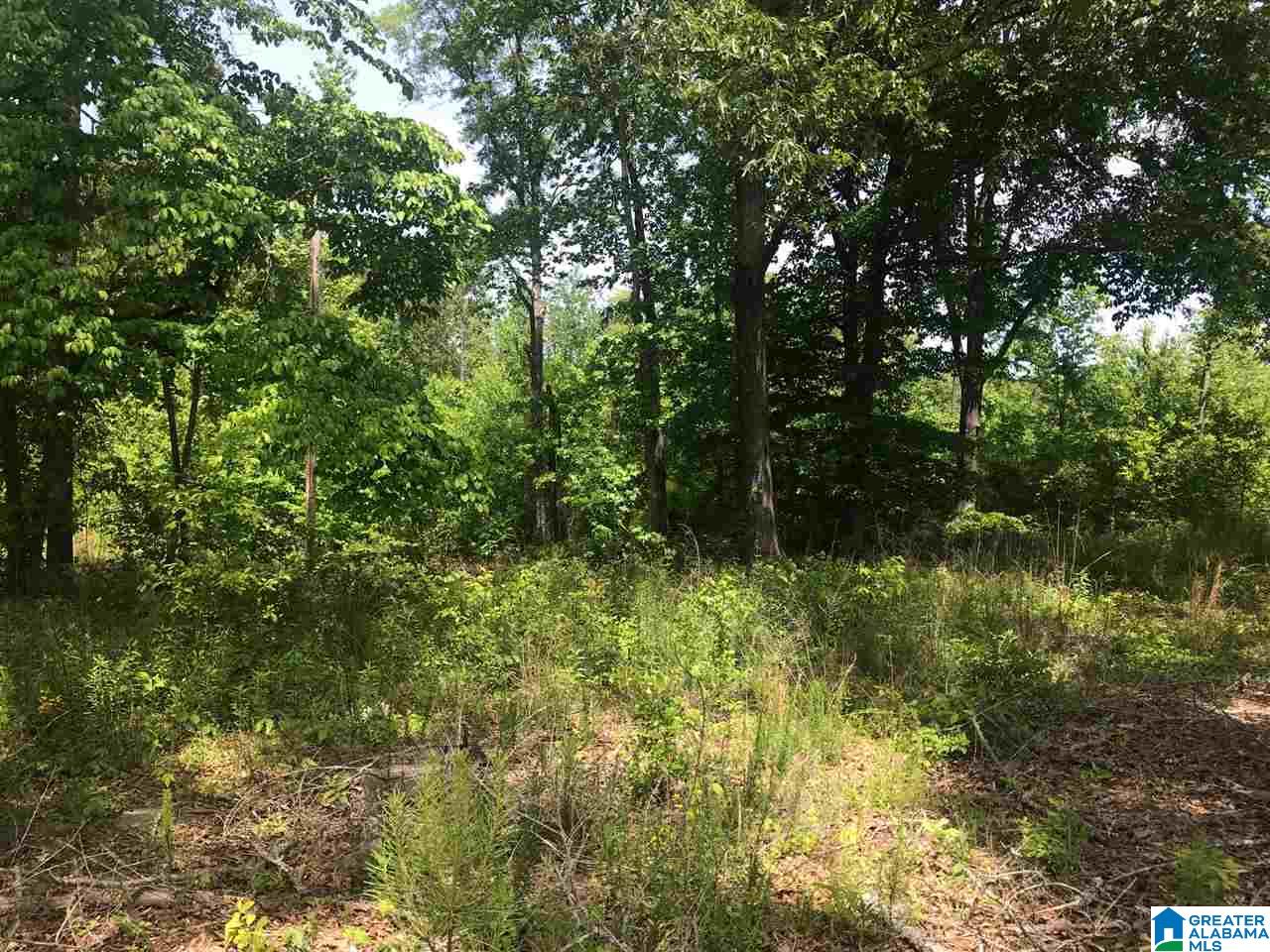 Firehouse Road, Unit 21 Goodwater, AL 35072 - Photo 6 of 21