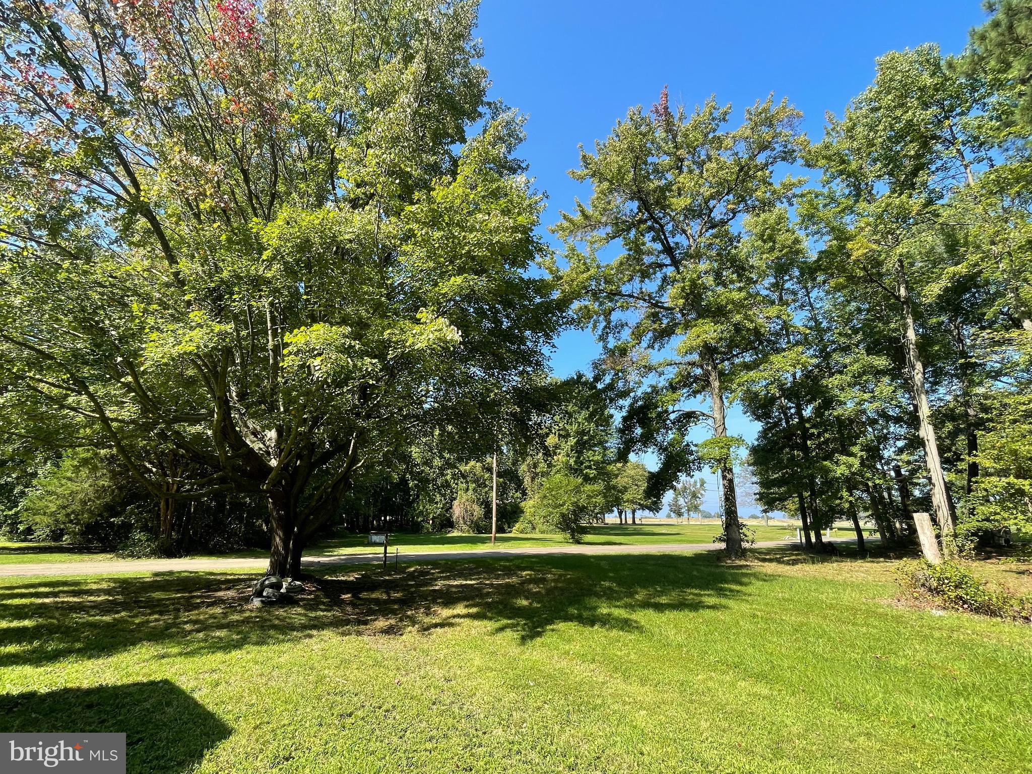 8665 Tilghman Island Road Wittman, MD 21676 - Photo 23 of 39