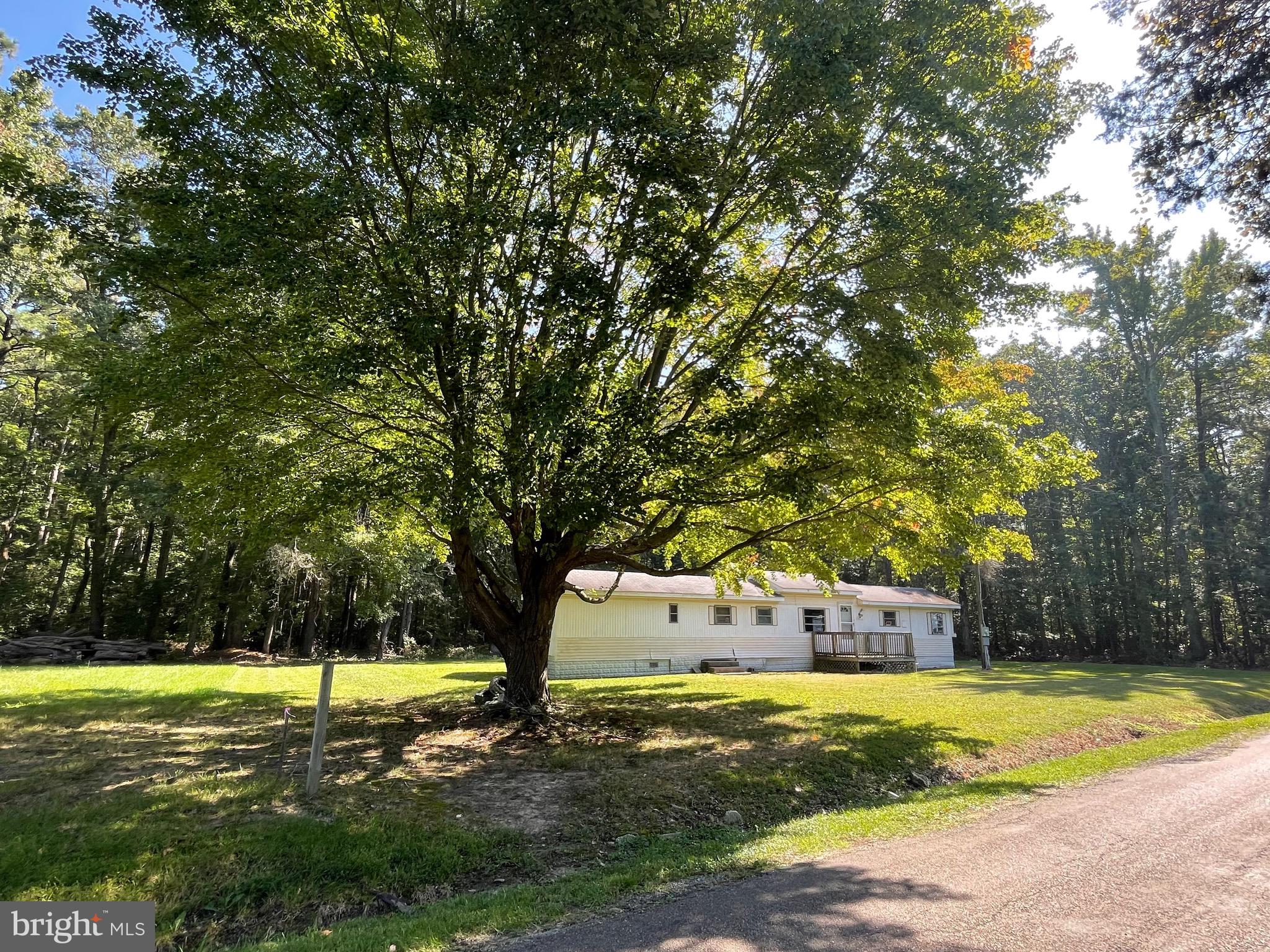8665 Tilghman Island Road Wittman, MD 21676 - Photo 28 of 39