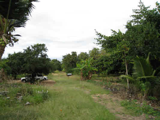 83-5275 Painted Church Road Captain Cook, HI 96704 - Photo 11 of 21 Gallery Image 11